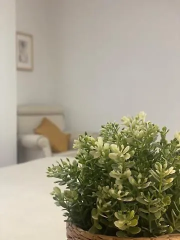 Magdalena Central Apartment Seville Spain